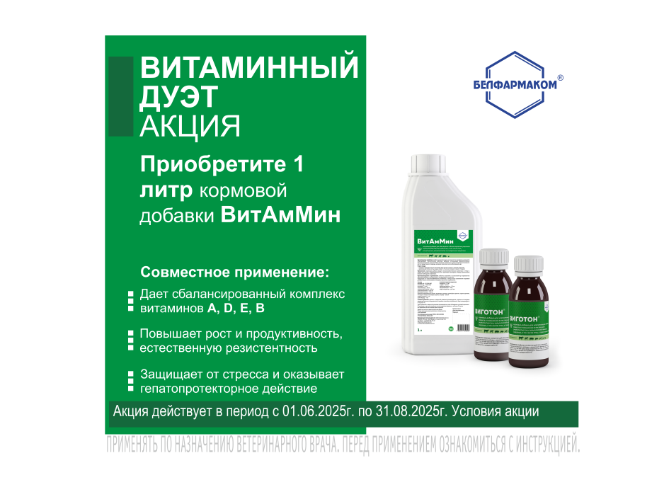 Акция  "Витаминный дуэт"