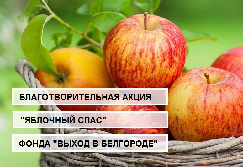 БЛАГОТВОРИТЕЛЬНАЯ АКЦИЯ ФОНДА «ВЫХОД В БЕЛГОРОДЕ»