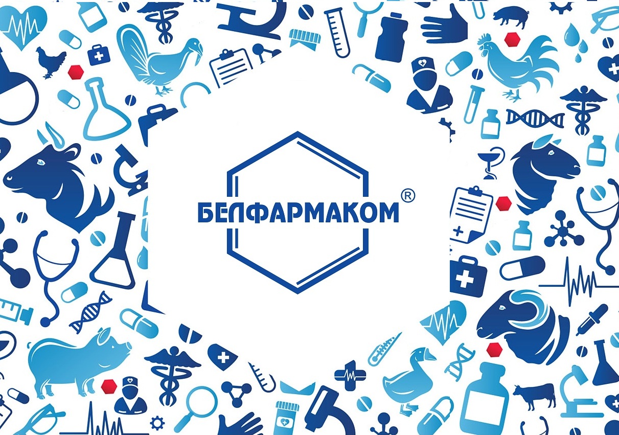 Препараты компании ООО «Белфармаком» были успешно растаможены в Омане и доставлены на склад клиента!