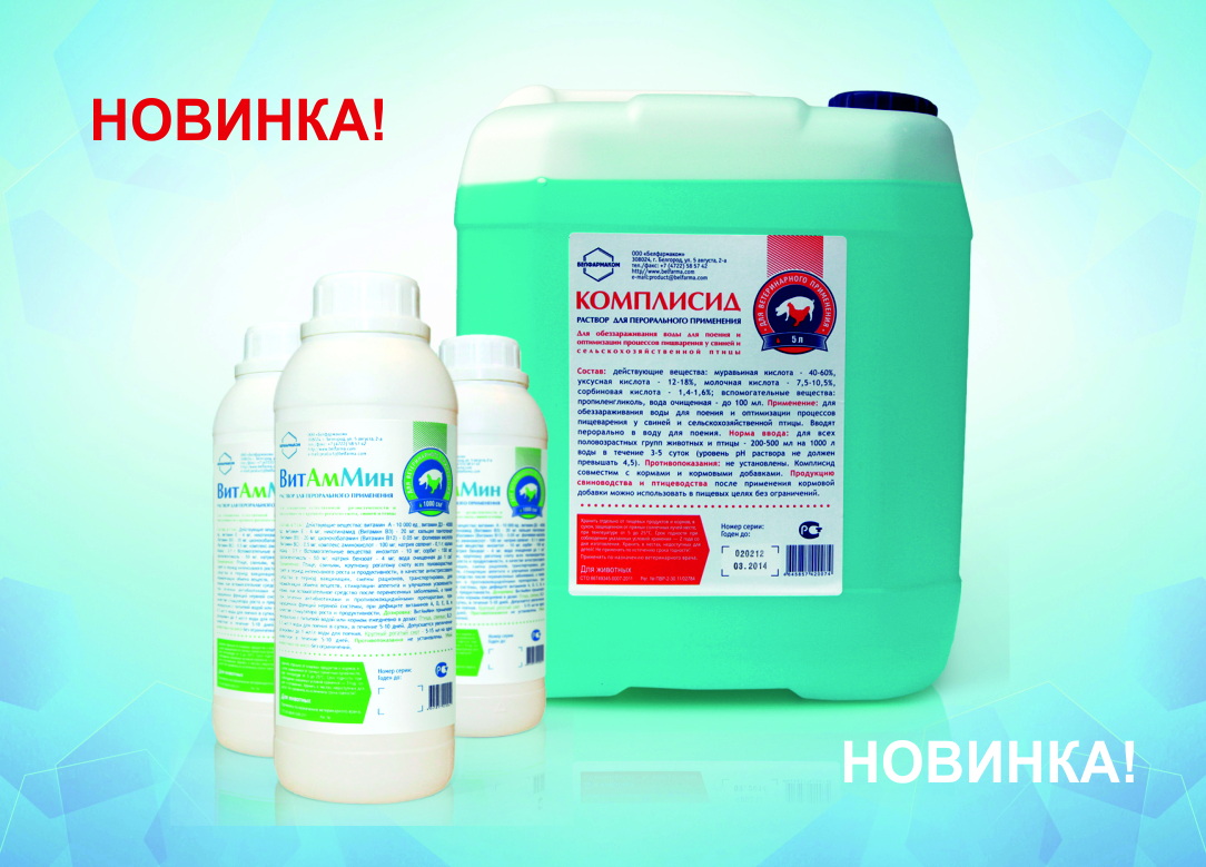 НАШИ НОВИНКИ — ВИТАММИН И КОМПЛИСИД