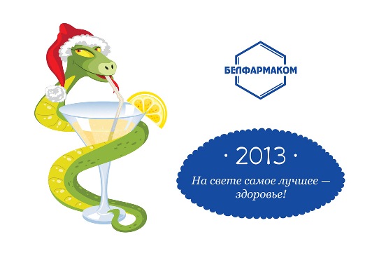 С НАСТУПАЮЩИМ НОВЫМ 2013 ГОДОМ!