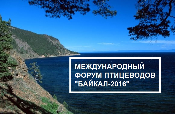 МЕЖДУНАРОДНЫЙ ФОРУМ ПТИЦЕВОДОВ «БАЙКАЛ 2016»